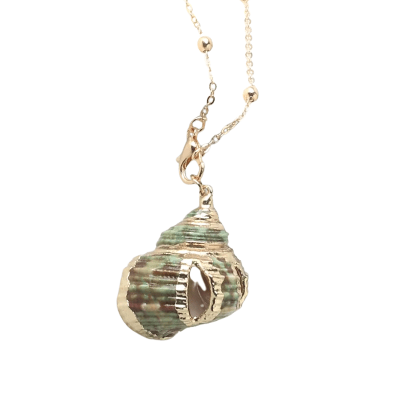 Collier Gros Coquillage Pendentif