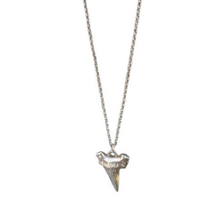 Pendentif Dent de Requin Or