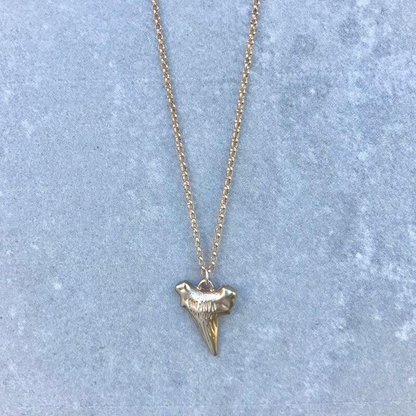 Pendentif Dent de Requin Or