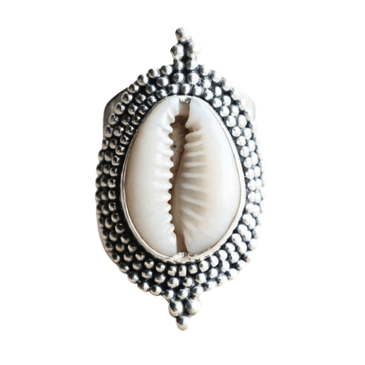 Bague Coquillage <br/> Cauri serti (Argenté) main image 1