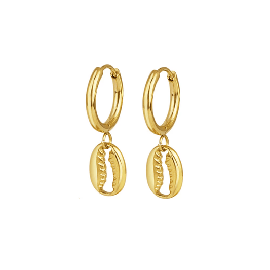 Boucles d'Oreilles Coquillage Cauri Or
