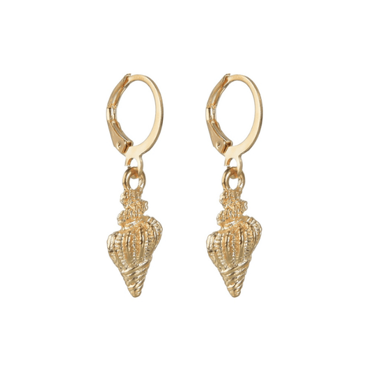 Boucles d'Oreilles Coquillage Pointu