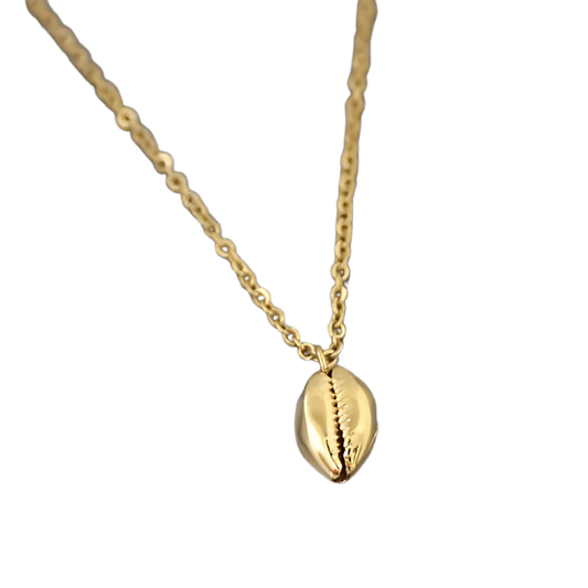 Collier Coquillage Acier Inoxydable Cauri