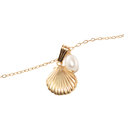 Collier Coquillage avec Perle Blanche