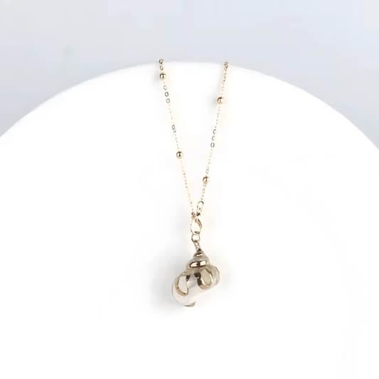 Collier Coquillage Blanc Guadeloupe