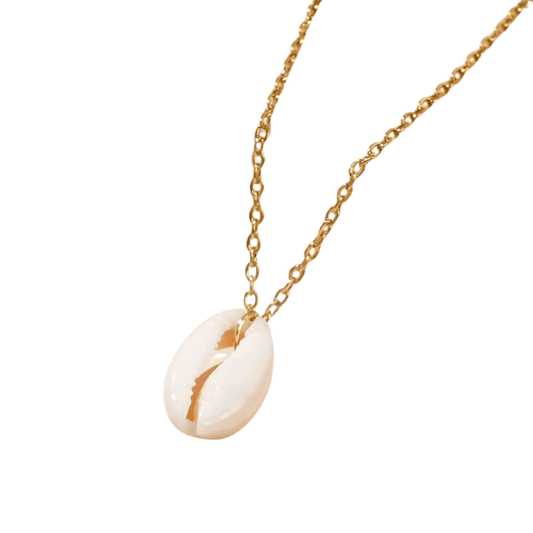 Collier Coquillage Cauris Femme