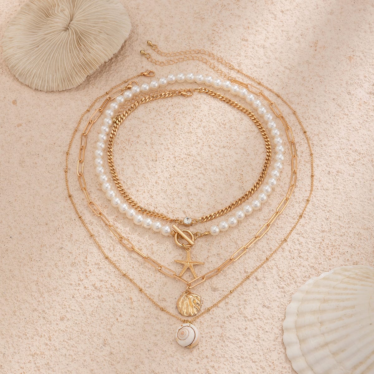 Collier Coquillage Oeil De Sainte Lucie