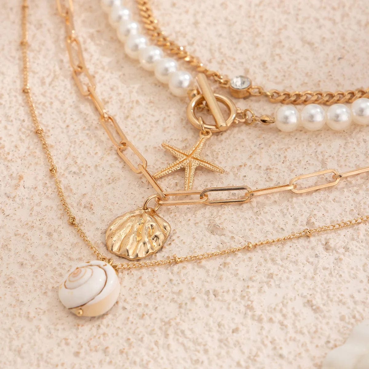 Collier Coquillage Oeil De Sainte Lucie