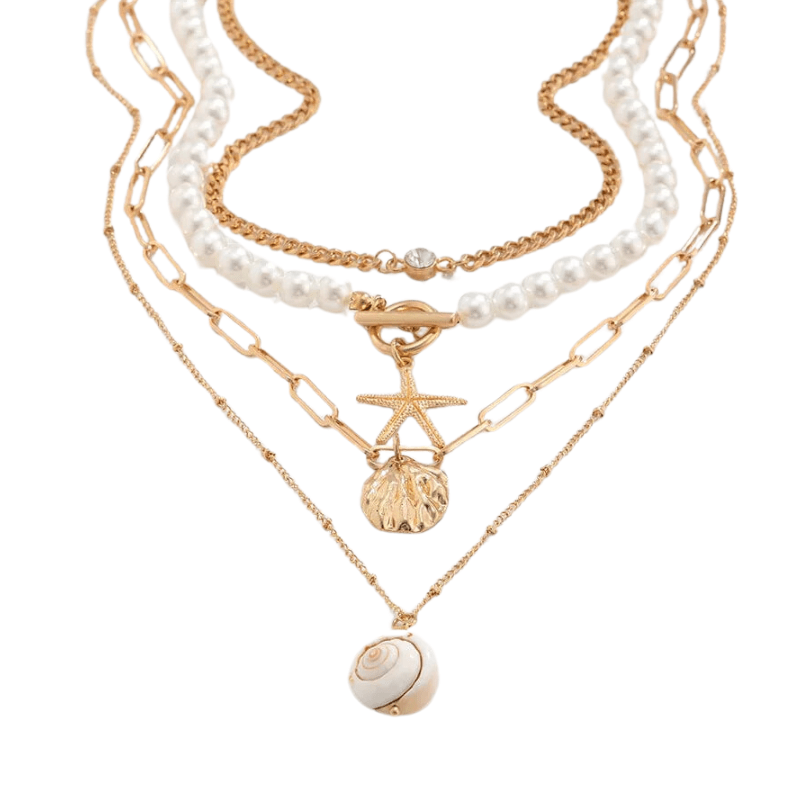 Collier Coquillage Oeil De Sainte Lucie