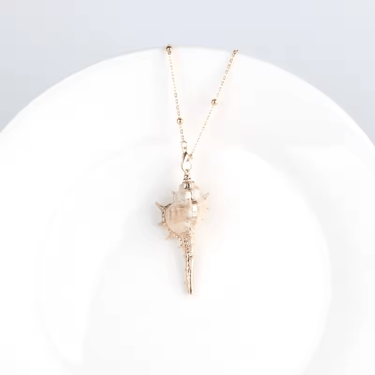 Collier Coquillage Polynésie