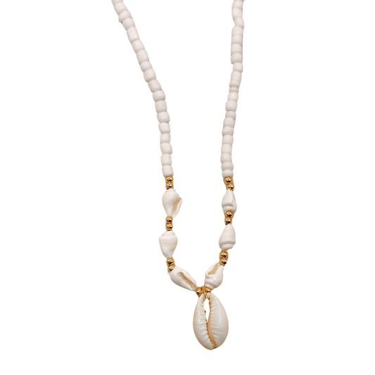 Collier Ras De Cou Coquillage