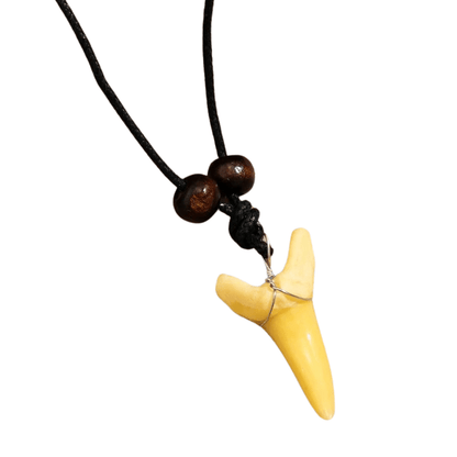 Collier Surfeur Dent de Requin