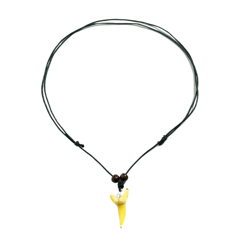 Collier Surfeur Dent de Requin