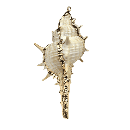 Pendentif Coquillage Bohème