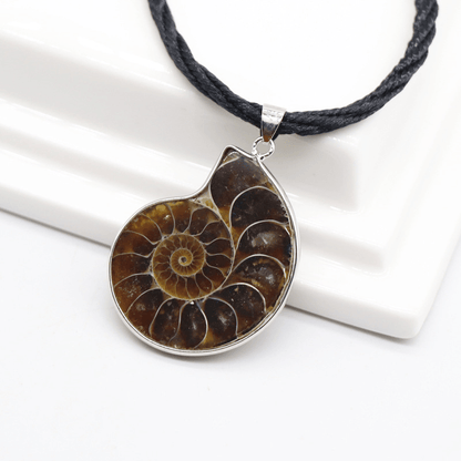 Pendentif Coquillage Collier Ammonite