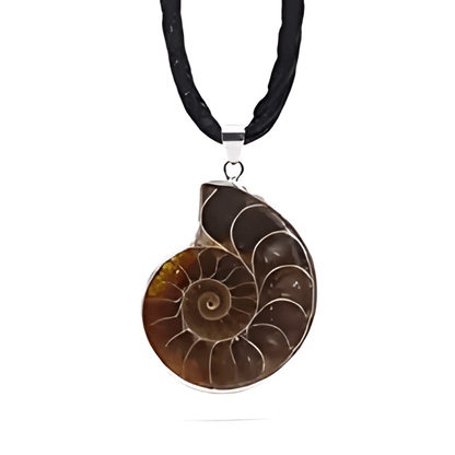 Pendentif Coquillage Collier Ammonite