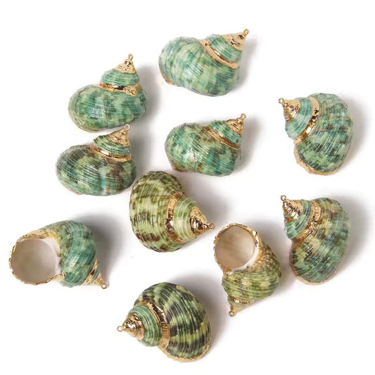Pendentif Coquillage et Perle