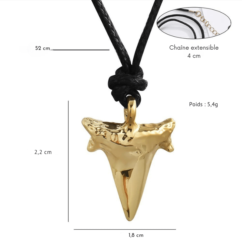 Pendentif Dent de Requin Or